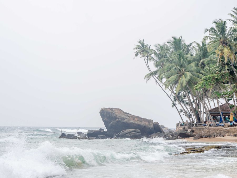 Palms leaning over the sheltered curve of Unawatuna bay