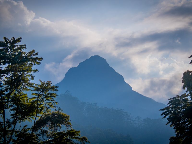 The conical silhouette of Adam's Peak rising through morning mist near Hatton, Sri Lanka.