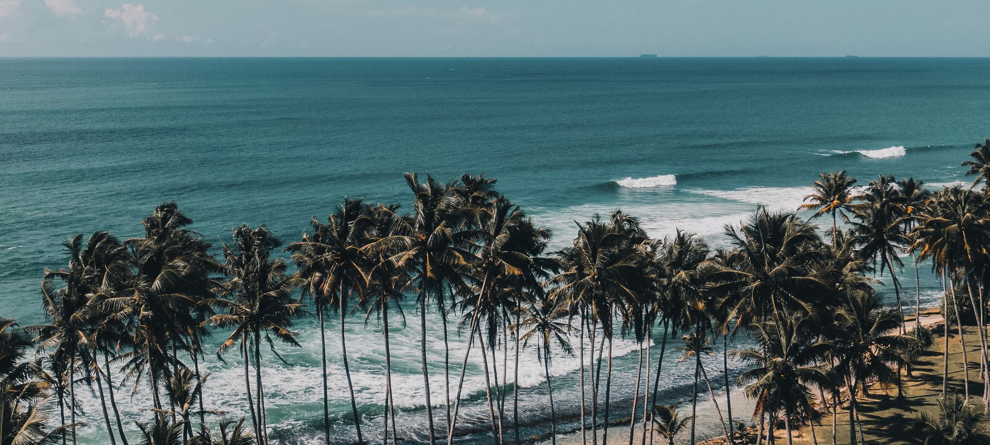 Palm trees leaning over turquoise surf on a quiet Sri Lankan beach.