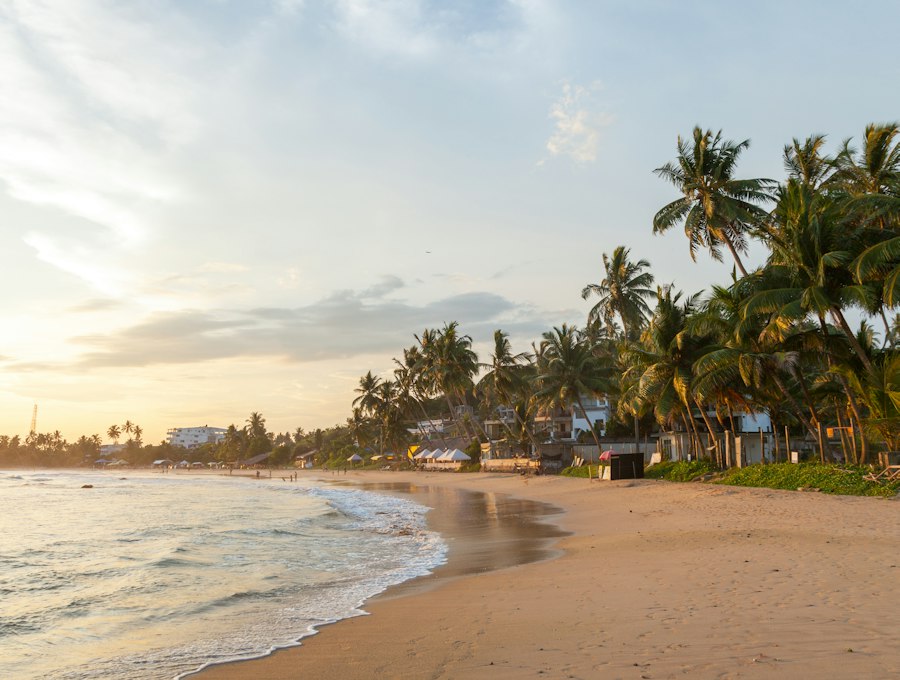 A family walking together along a shaded path past a Sri Lankan temple