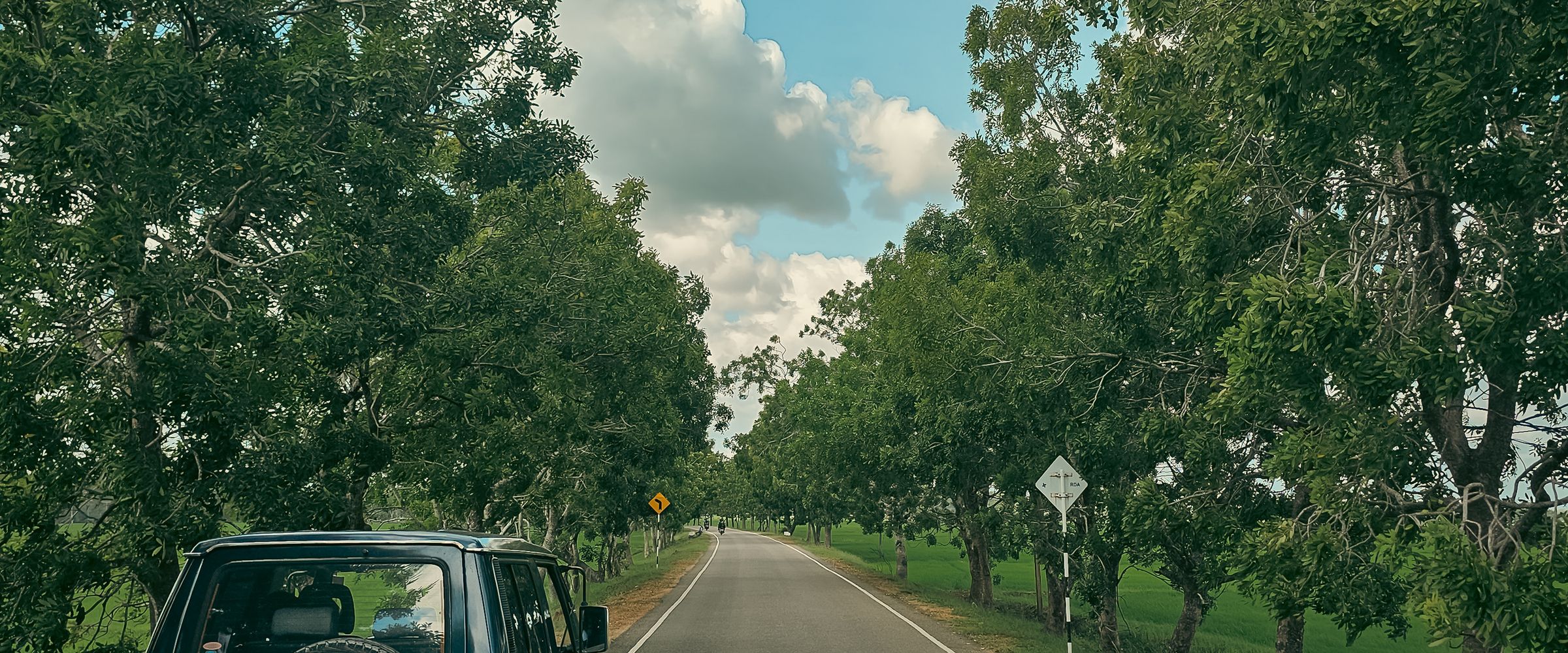 A quiet tree-lined country road in Sri Lanka with a vehicle heading into open green landscape.